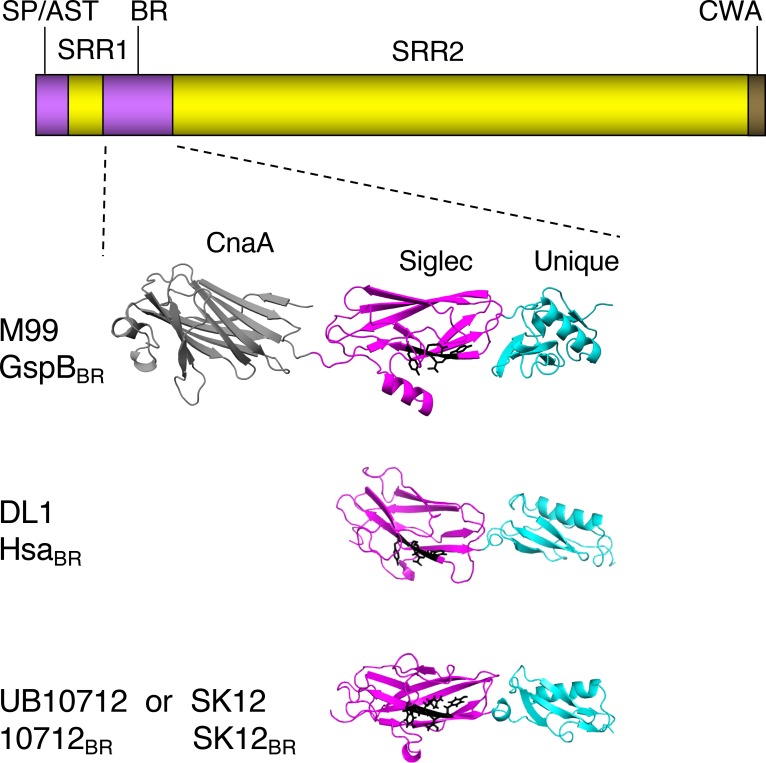 Fig 1