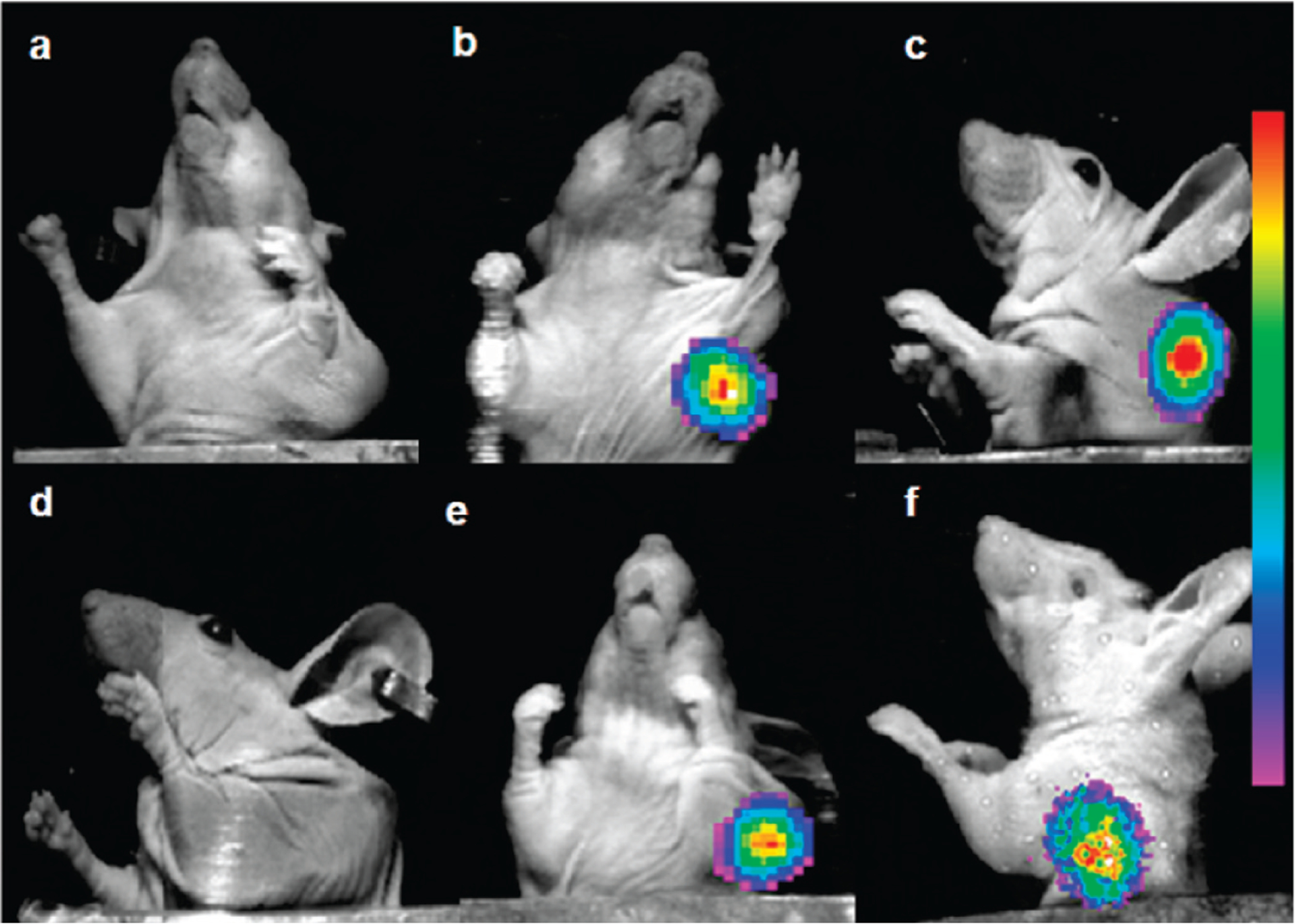 Figure 5.