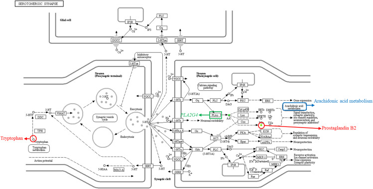 Fig. 7