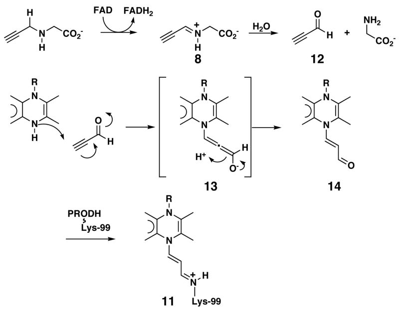 Scheme 3