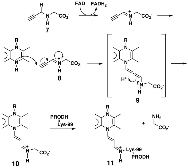 Scheme 2