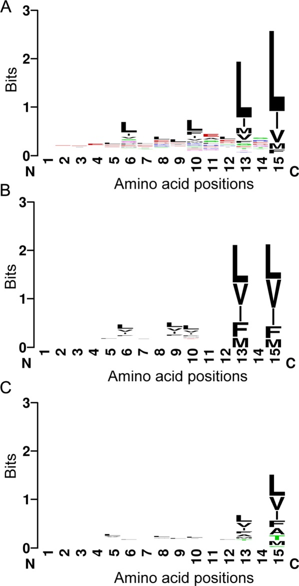 FIGURE 2: