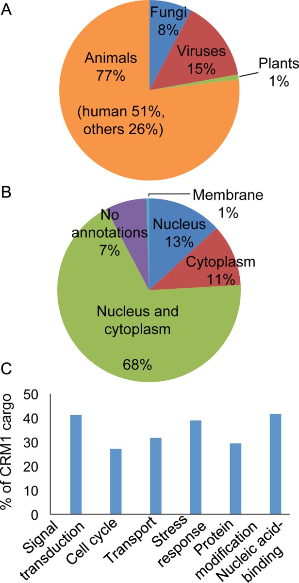 FIGURE 1: