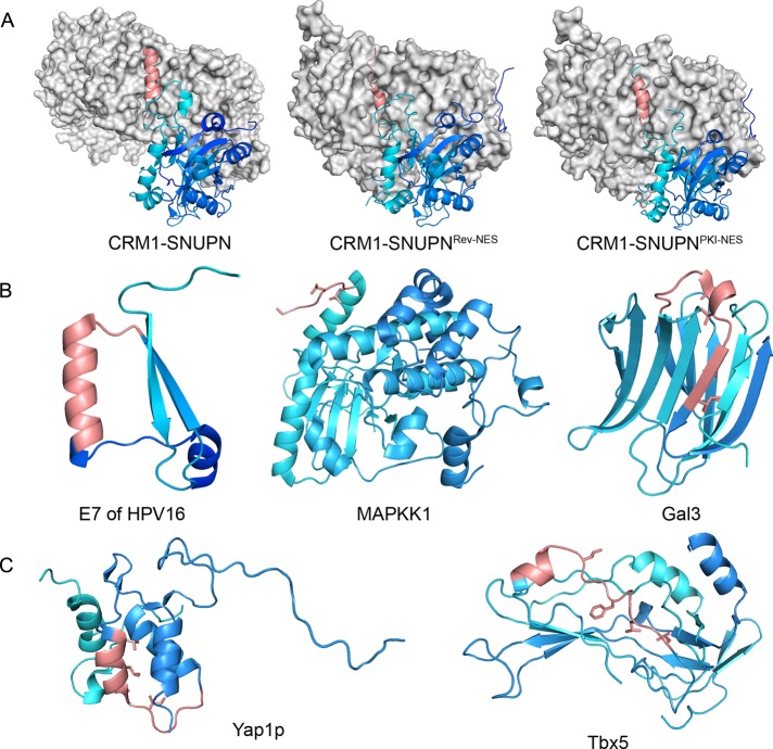 FIGURE 5: