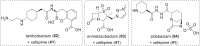 Fig. 12