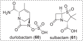 Fig. 11
