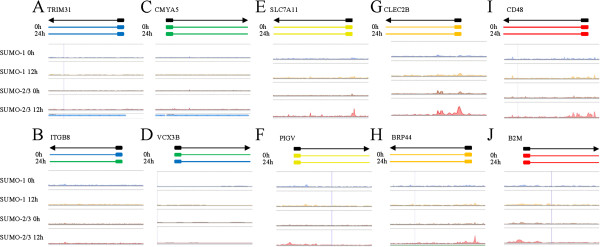 Figure 13