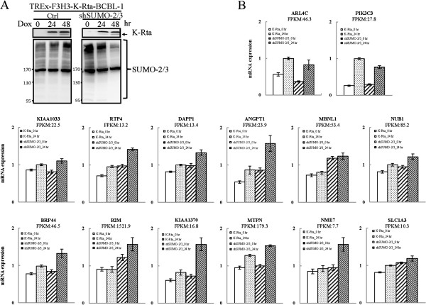 Figure 14