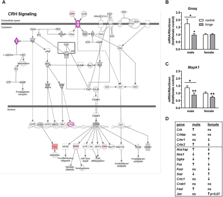 FIGURE 3