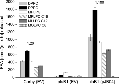 FIGURE 4.