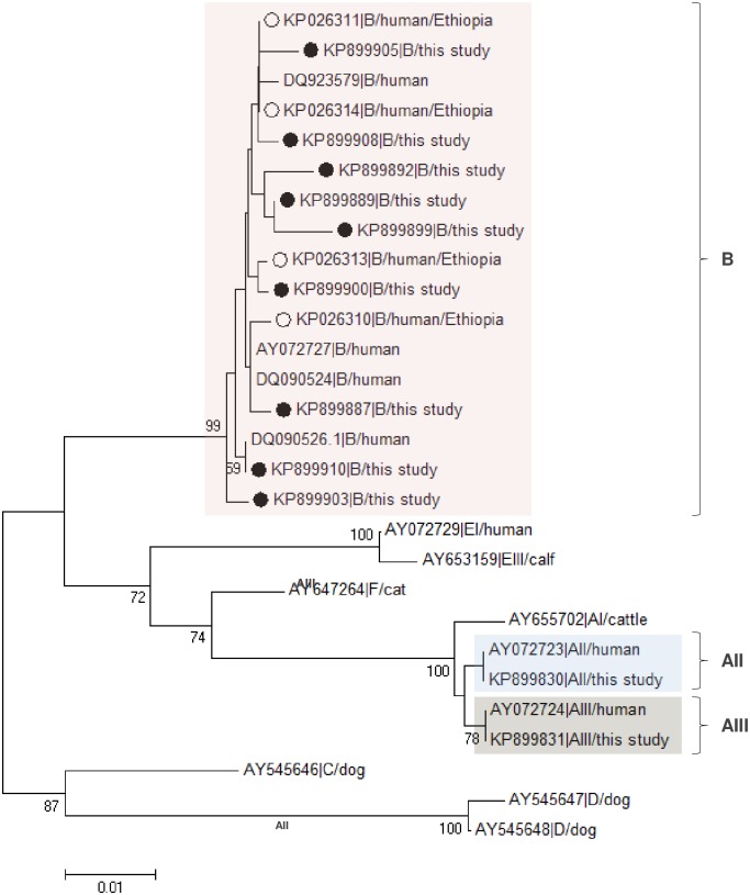 Fig 4