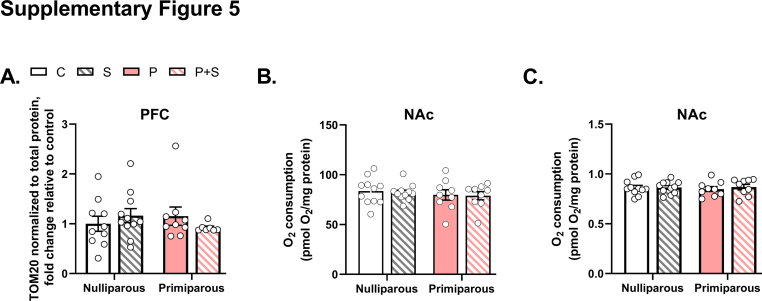 Supplementary Fig. 5