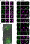 Figure 1-