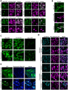 Figure 4-