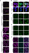 Figure 2-