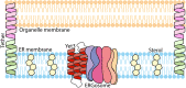 Figure 5-