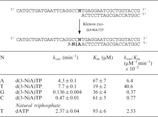 graphic file with name gkp562i2.jpg