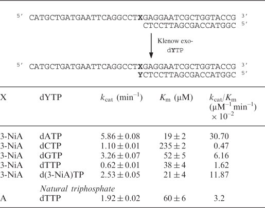 graphic file with name gkp562i1.jpg