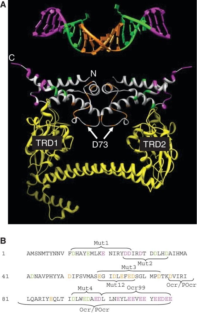 Figure 9.