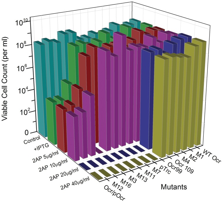 Figure 2.