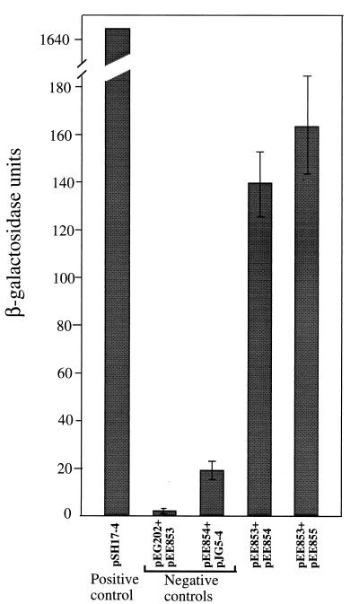 FIG. 1