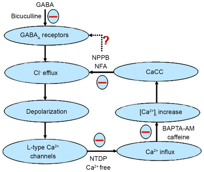 Figure 7.