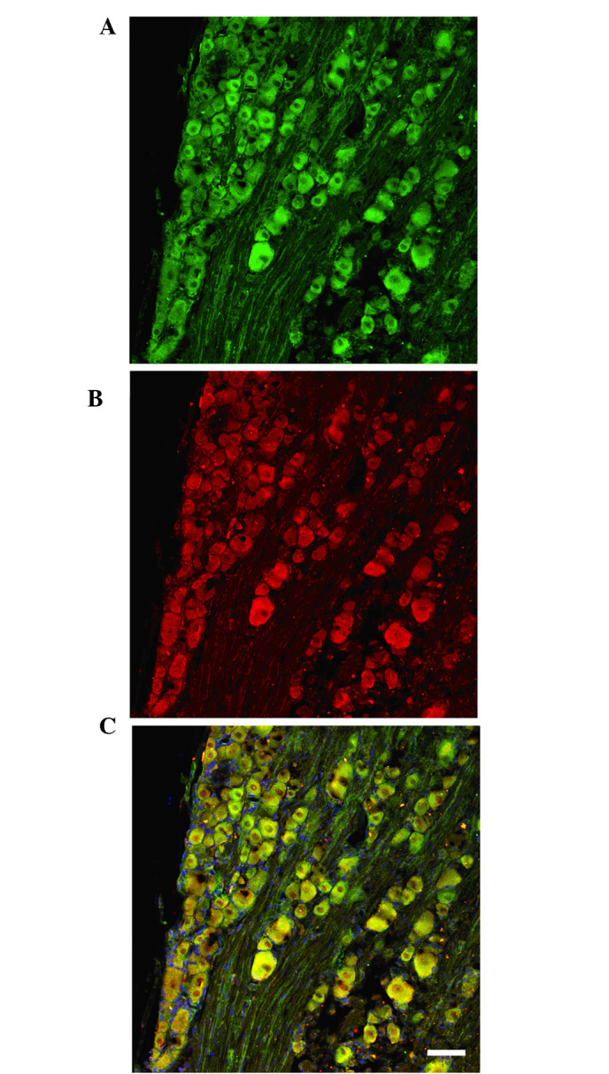 Figure 6.