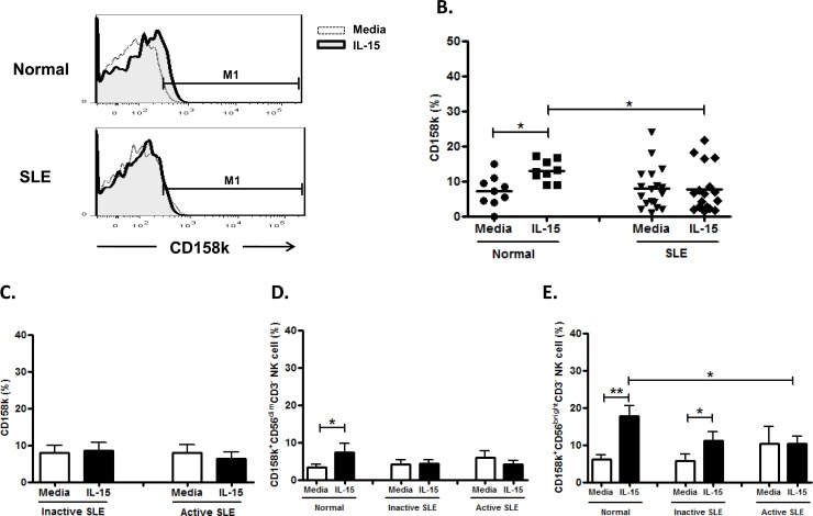 Fig 12