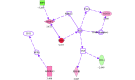 THBS2: thombospondin-2; MMP2: matrix metalloproteinase-2; DDIT3: DNA damage inducible transcript-3; ADORA3: adenosine A3 receptor; SPP1: secreted phosphoprotein-1; CD14: CD14 molecule; PRKCZ: protein kinase C zeta type; TP53: tumor protein P53; NPPA: natriuretic peptide precursor A variant; AK: adenosine kinase; TNF: tumor necrosis factor; PDE4B: phosphodiesterase 4B; NFκB: nuclear factor kappa B subunit; TSC2: tuberous sclerosis 2.