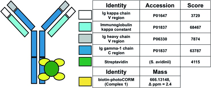 Fig. 4