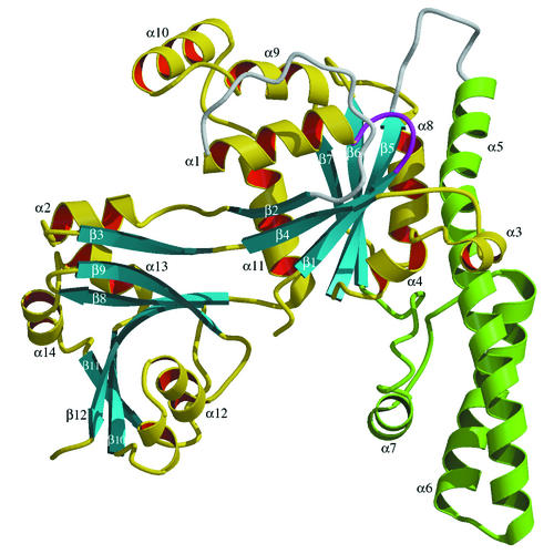 FIG. 1.