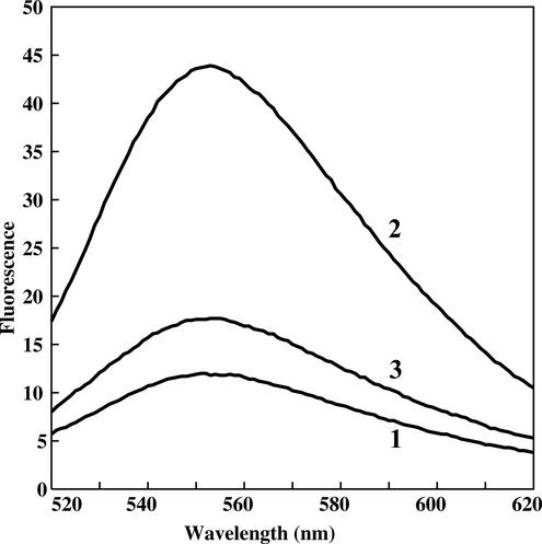 FIG. 5.