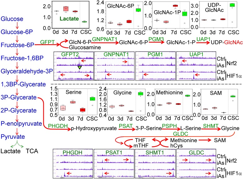 Figure 7