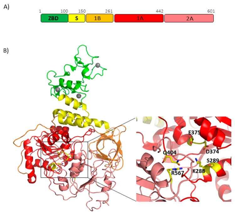 Figure 7