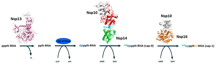 Figure 6