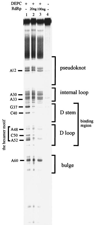 FIG. 6