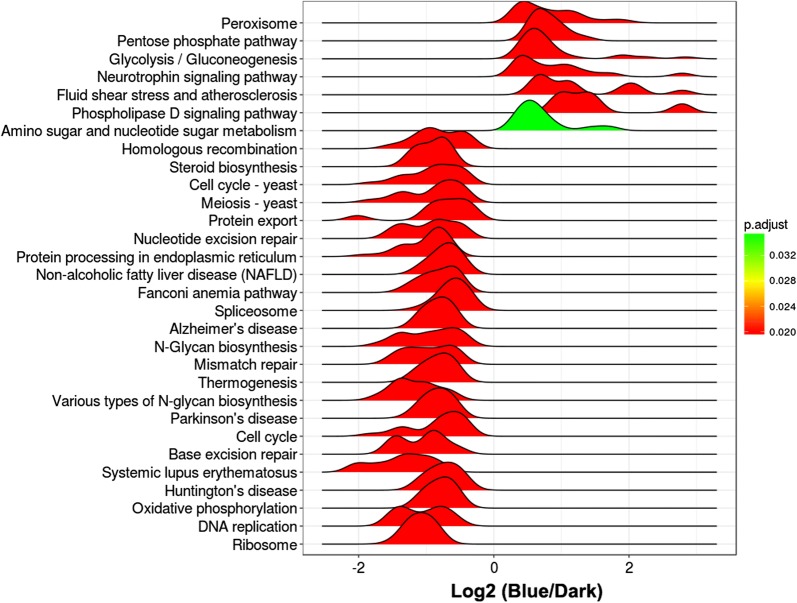 Fig. 2