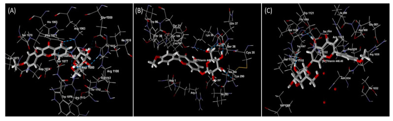 Figure 7