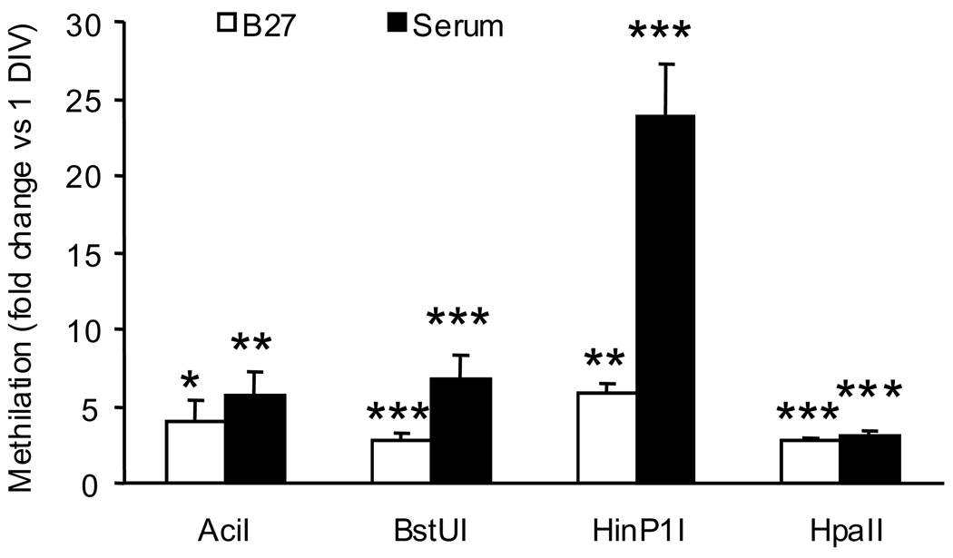 Fig. 8