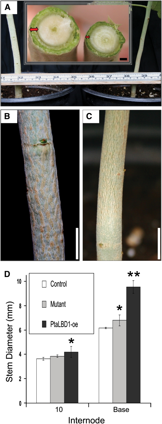 Figure 4.