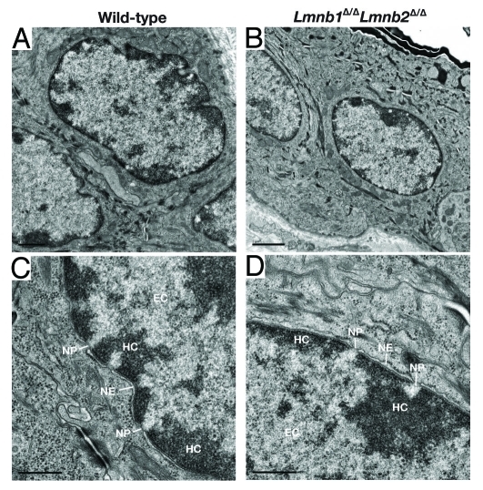 Figure 4.