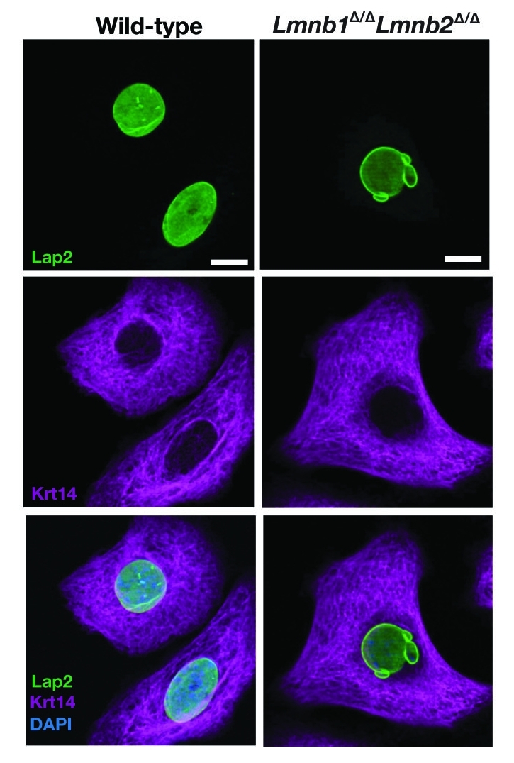 Figure 2.