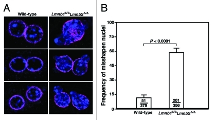 Figure 6.