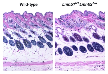 Figure 3.