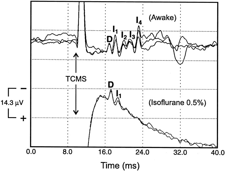 Fig. 9.