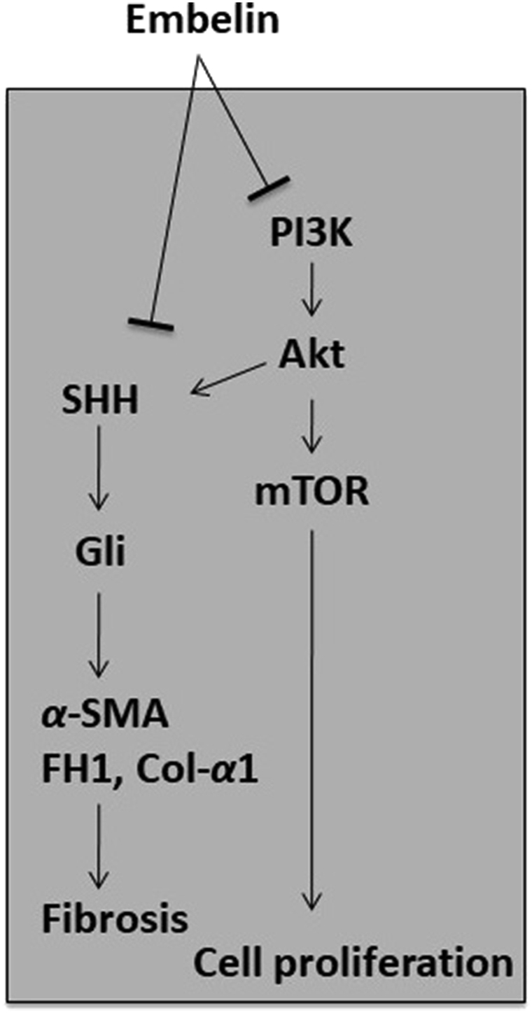 Figure 5