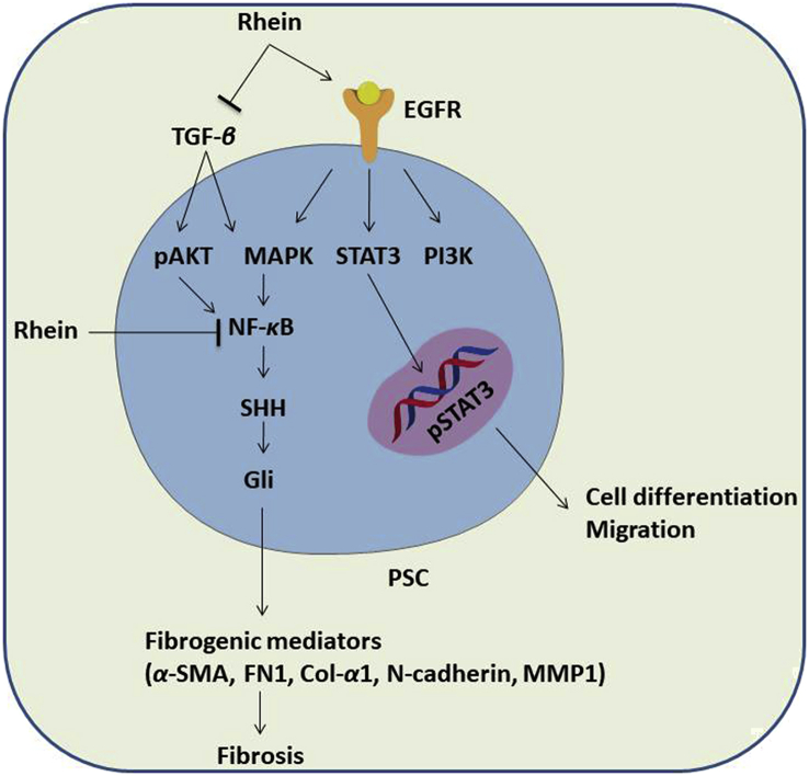 Figure 3