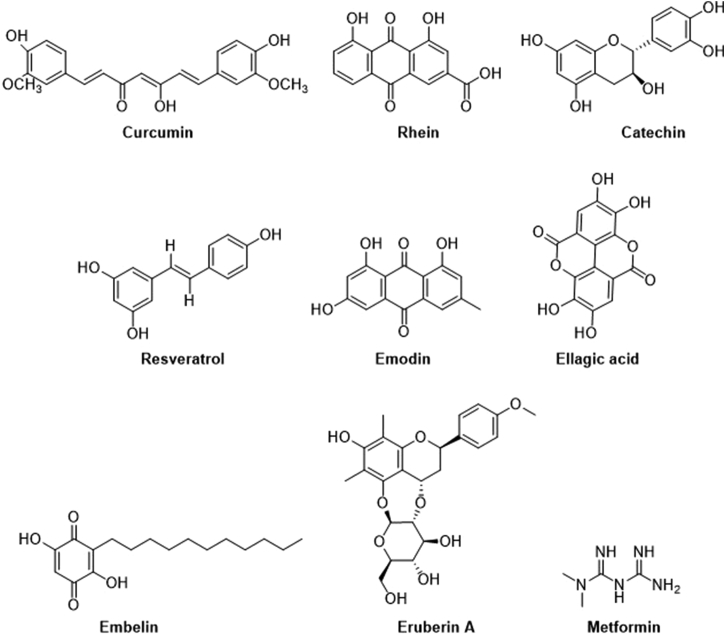 Figure 1