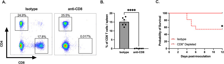 Fig 10