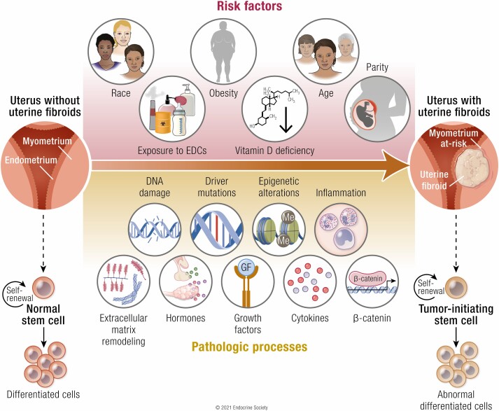 Graphical Abstract